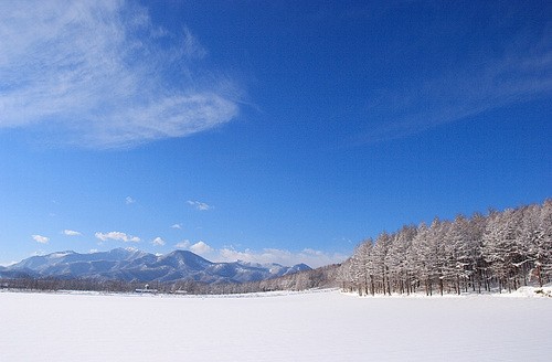 冬の十勝！おうち見学バスツアー参加者募集のお知らせ！まもなく〆切！