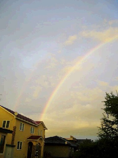 Ｗ　Ｒａｉｎｂｏｗ！