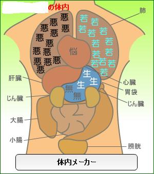 今度は体内メーカー