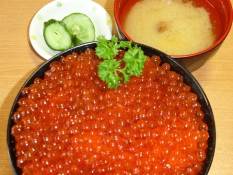 秋の味覚いくら丼♪