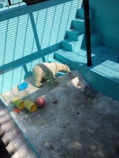 冬の動物園