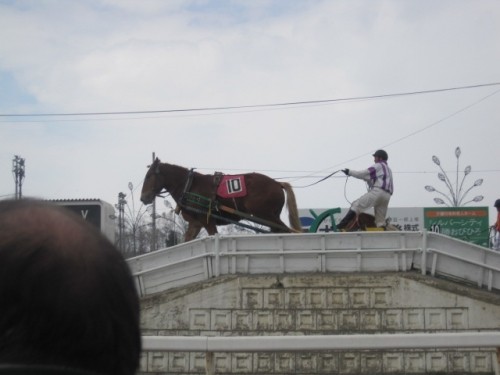 新馬の登竜門