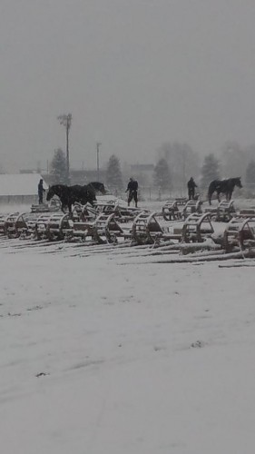 雪が降りましたね～