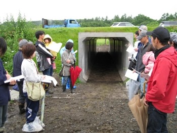 トンネルを抜けるとさらに放牧地が広がっていた