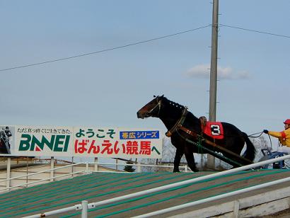 ばんば観戦！