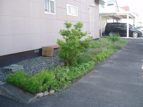 日陰の軒天の景