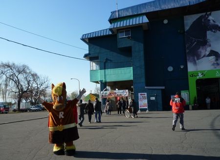 天気がいい～♪ばんえい十勝まんぷく味覚まつり