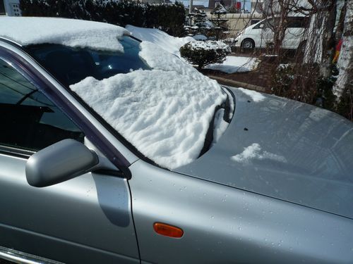 春の雪・・・終わりの見えない不安