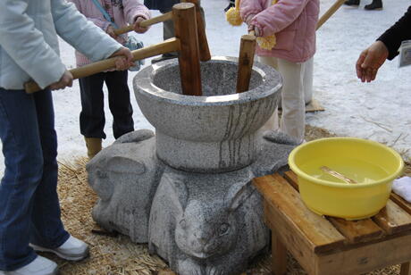 冬の円山動物園