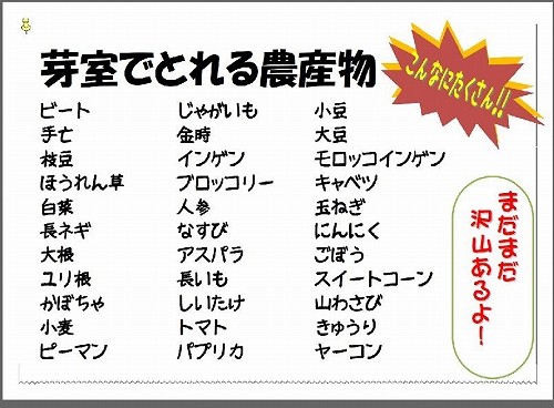 芽室町で第15回消費生活展があります！