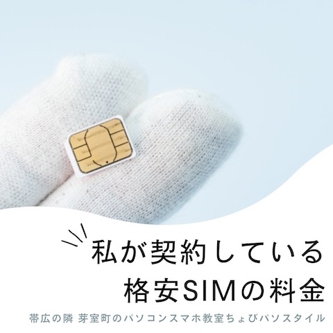 私が契約している格安SIMの料金