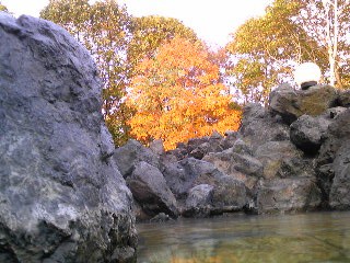 今年こそは・・・紅葉露天