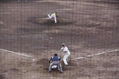 初プロ野球観戦