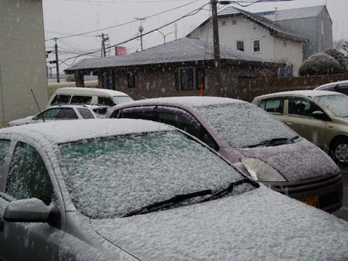 ５月の雪