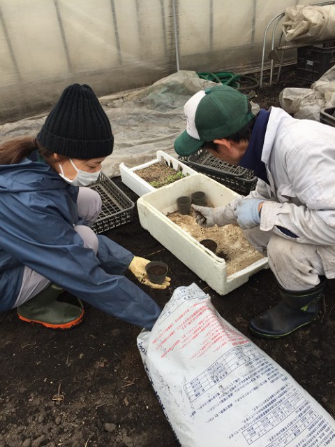 農園日記　もう一人の師匠