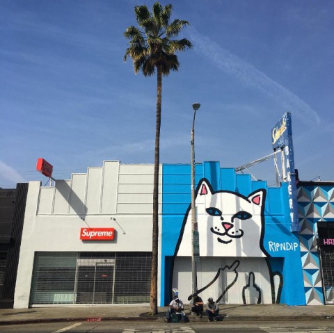 RIPNDIP!知ってますかー?