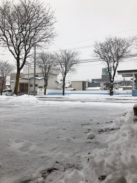 こんな雪の日にも!!