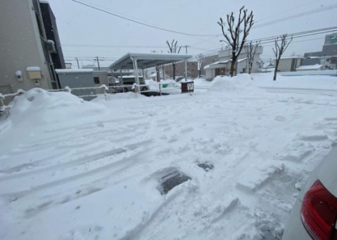 コロナショックまっただなかに、この雪!