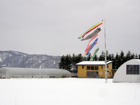 冬に逆戻り