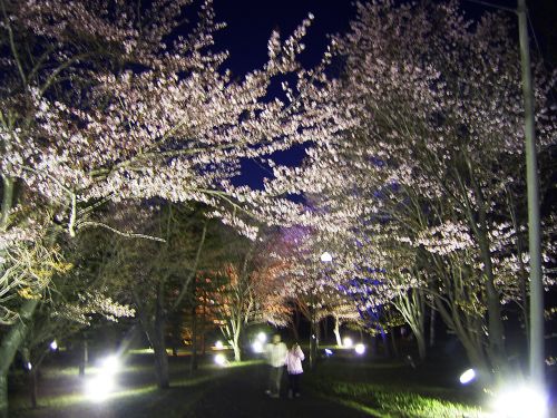 鈴蘭公園に響いた叫び声