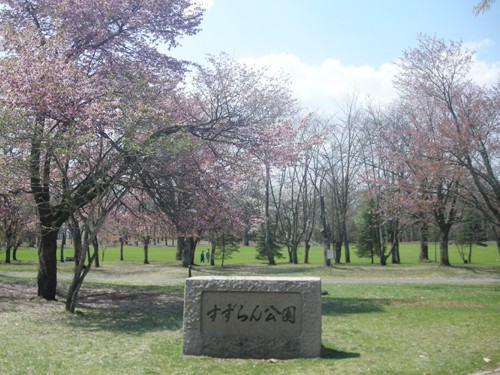 本日の鈴蘭公園　２