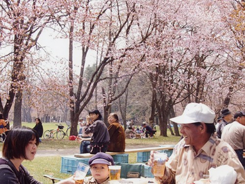 本日の…鈴蘭公園…３（涙）