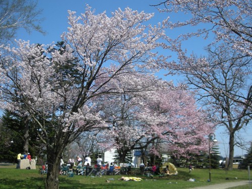 ５月９日は「咲くらまつり」！