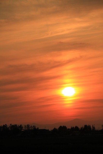 一日の締めは夕焼けの撮影で