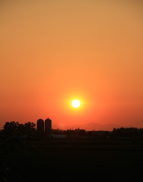 フィンランドからの新郎新婦さんと今日の夕焼け