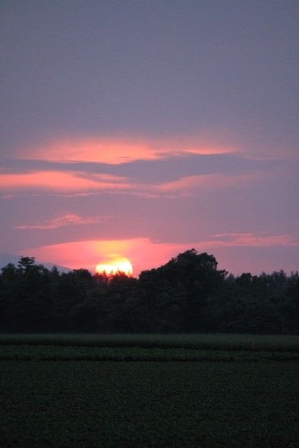 思いがけなく真っ赤な夕陽を写しました