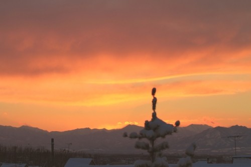 今日の夕焼けと昨日のガラスに咲いた霜の花