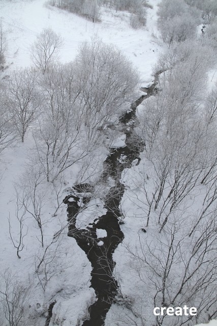 樹氷がキレイでした。