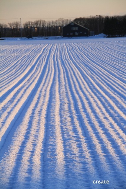 今季初の雪景色