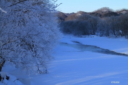 昨日の樹氷の世界