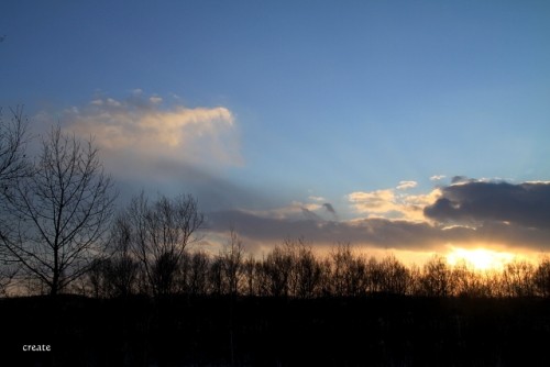 駒場の夕暮れ時