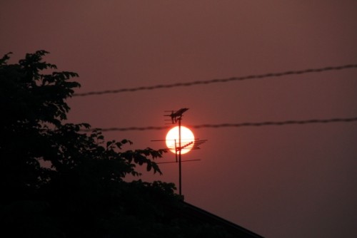 昨日と今日と２日続きの真っ赤な夕日