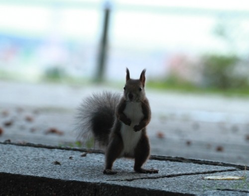 リーちゃんが迎えてくれましたぁ　　＼(^o^)／