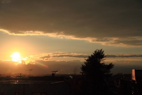 夕景と「紅葉の絨毯とエゾリス」のデジブック