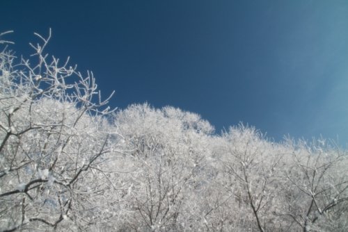 １年間ありがとうございました。