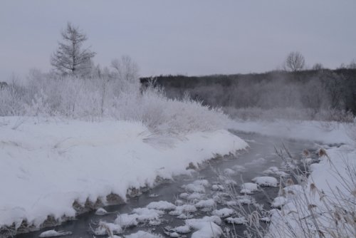 －１９度の朝の小さな川