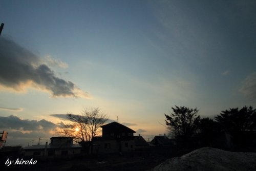 桜の樹を入れた今日の夕景