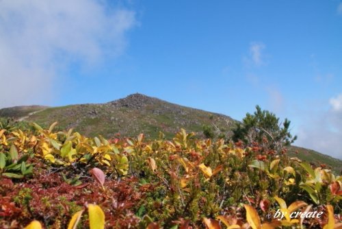 黒岳石室から頂上までの紅葉風景と赤岳登山デジブック