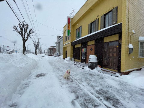 本日は臨時休業させて頂きます。