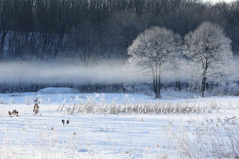 更別村の寒い朝