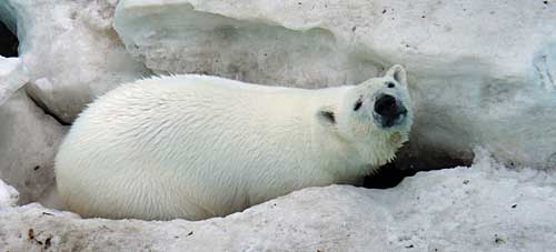 プールの水交換、できず、、、