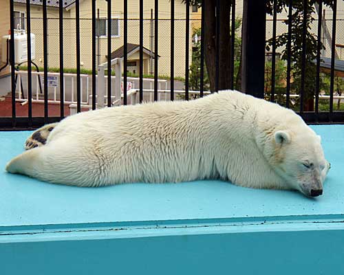 気温によって