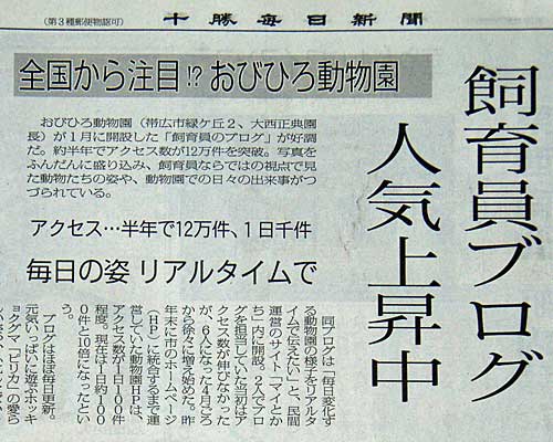 新聞に登場！