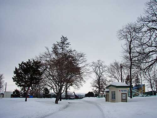 暖かいけど雪の前、、、