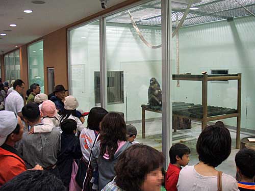 雨降らず！祈り届く！よるの動物園終了