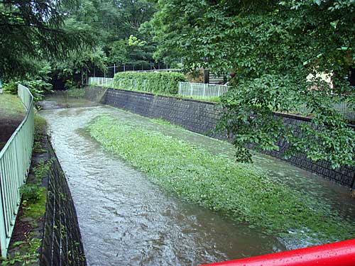 えっ！水遊び？